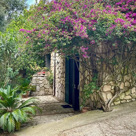 Isola D'elba A 300m Dal Mare